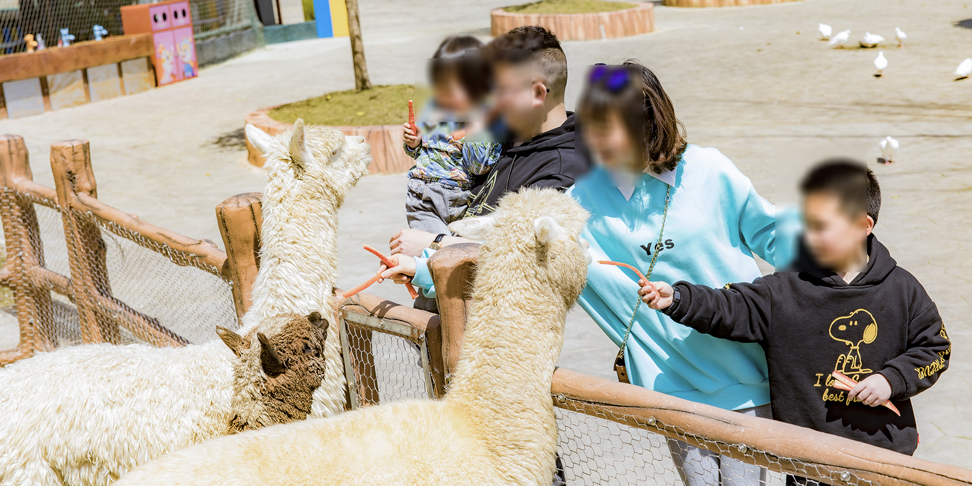 -浙江鵬鳴游樂設(shè)備有限公司