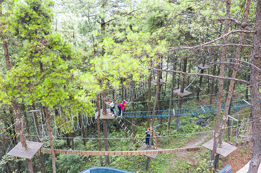 叢林穿越-浙江鵬鳴游樂設備有限公司