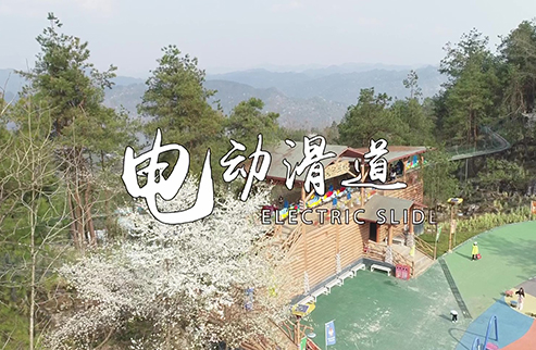 電動(dòng)滑道-浙江鵬鳴游樂設(shè)備有限公司