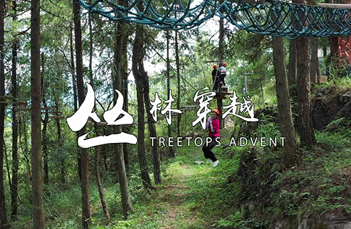 叢林穿越-浙江鵬鳴游樂設(shè)備有限公司