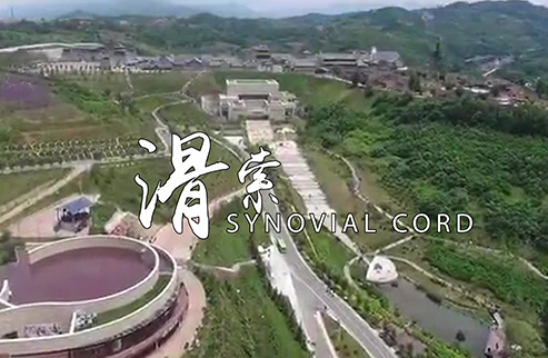 滑索-浙江鵬鳴游樂設(shè)備有限公司