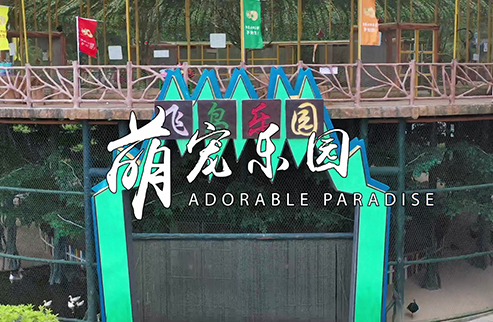 萌寵樂園-浙江鵬鳴游樂設(shè)備有限公司